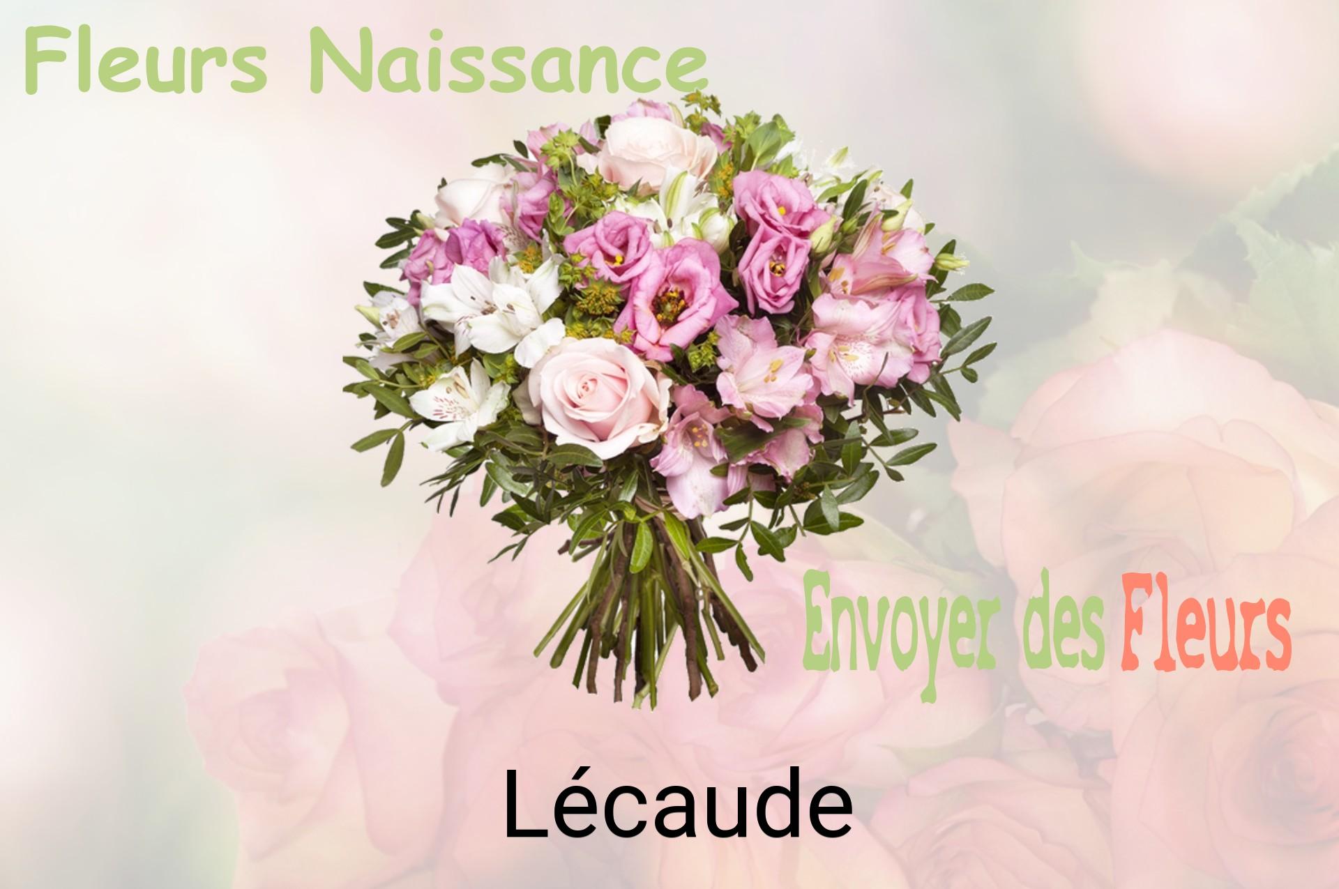 Bouquet de fleurs de naissance livré à Lécaude